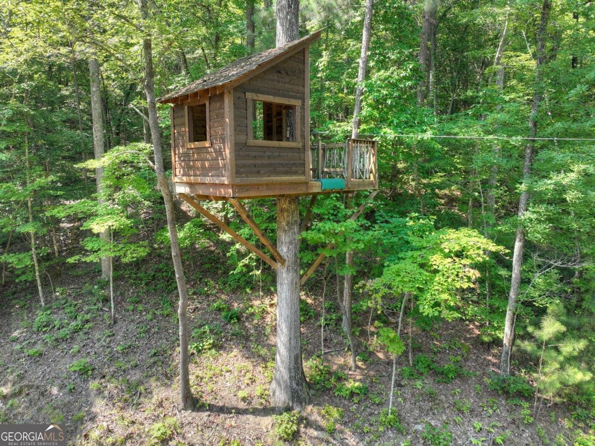 7843 Hwy 382 Ellijay - 81