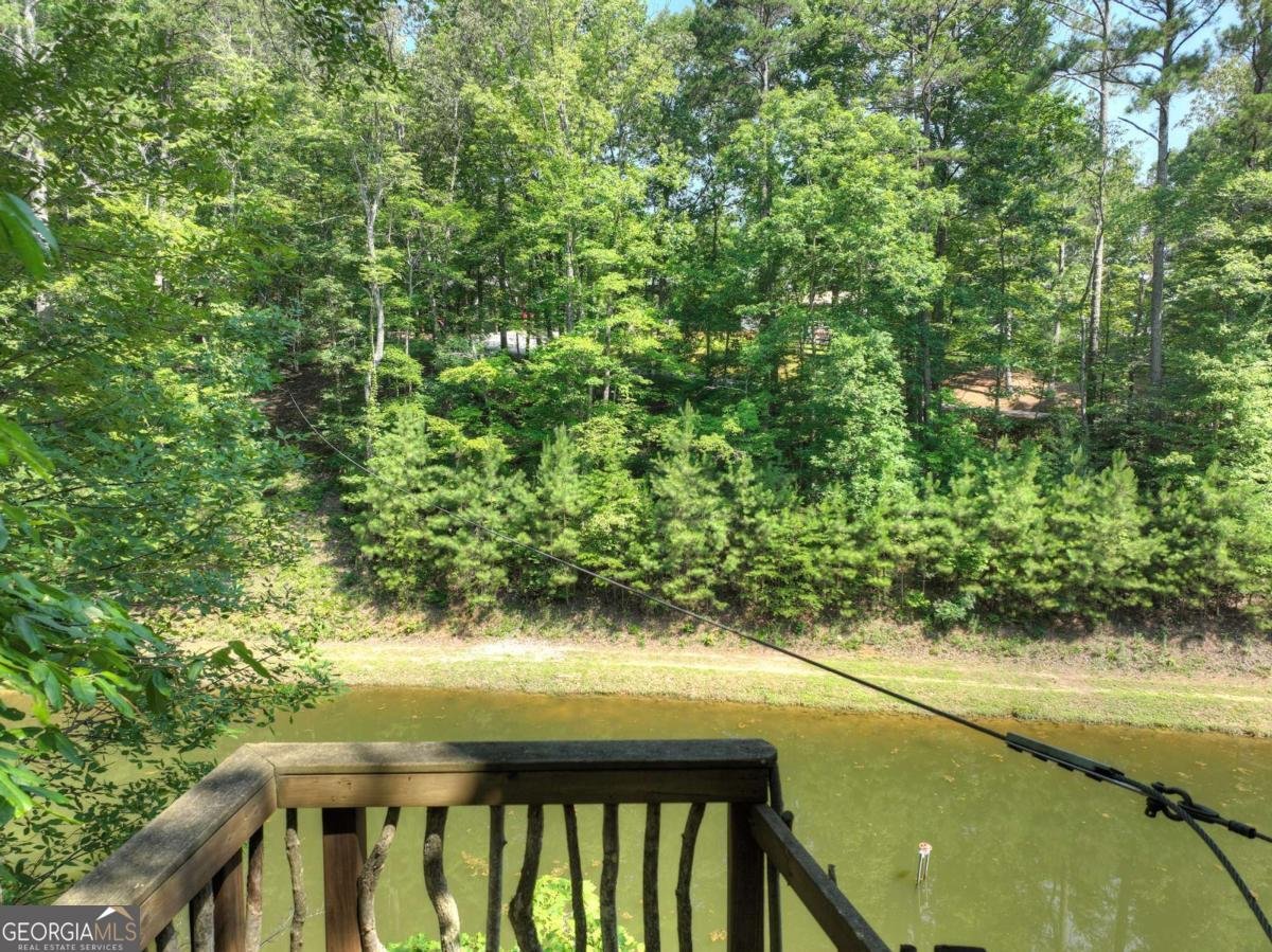 7843 Hwy 382 Ellijay - 85
