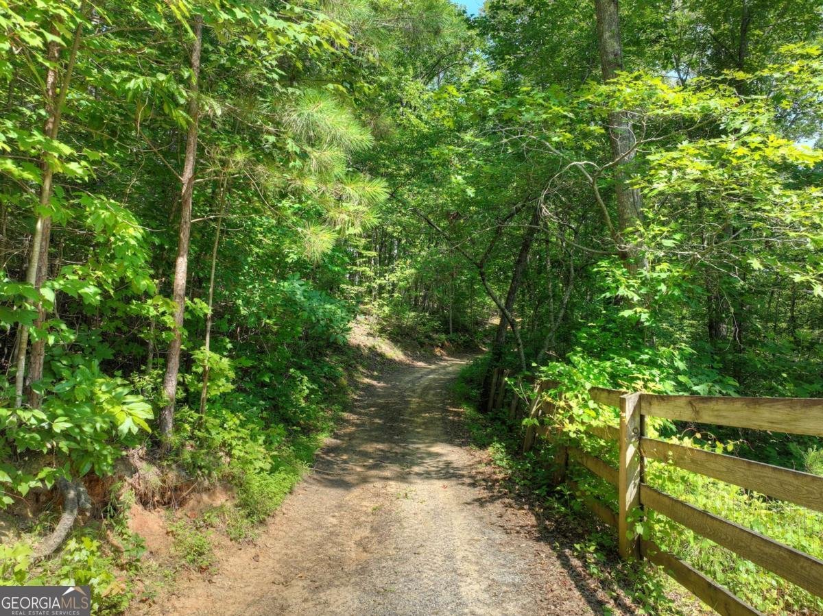 7843 Hwy 382 Ellijay - 87