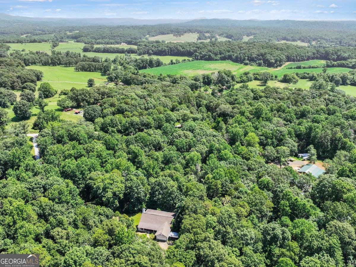 776 C Jordan Road Lula - 52