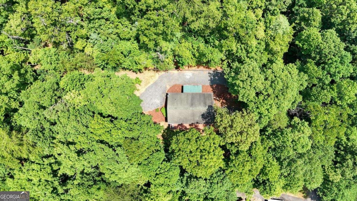 2333 Lovingood Road Hiawassee - 36