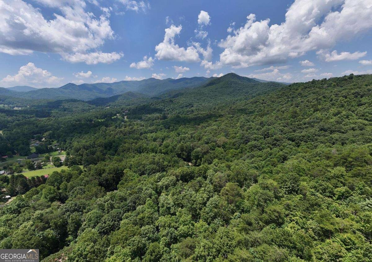 2333 Lovingood Road Hiawassee - 38