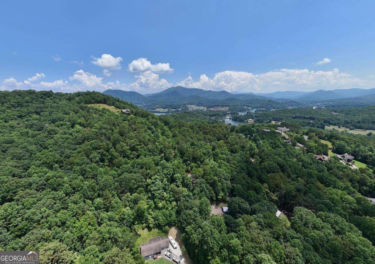 2333 Lovingood Road Hiawassee - 39