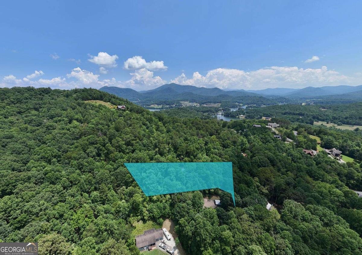 2333 Lovingood Road Hiawassee - 40