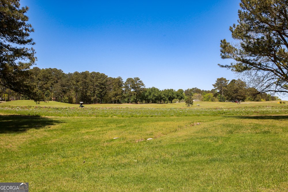 10212 Tall Pine Court Villa Rica - 85