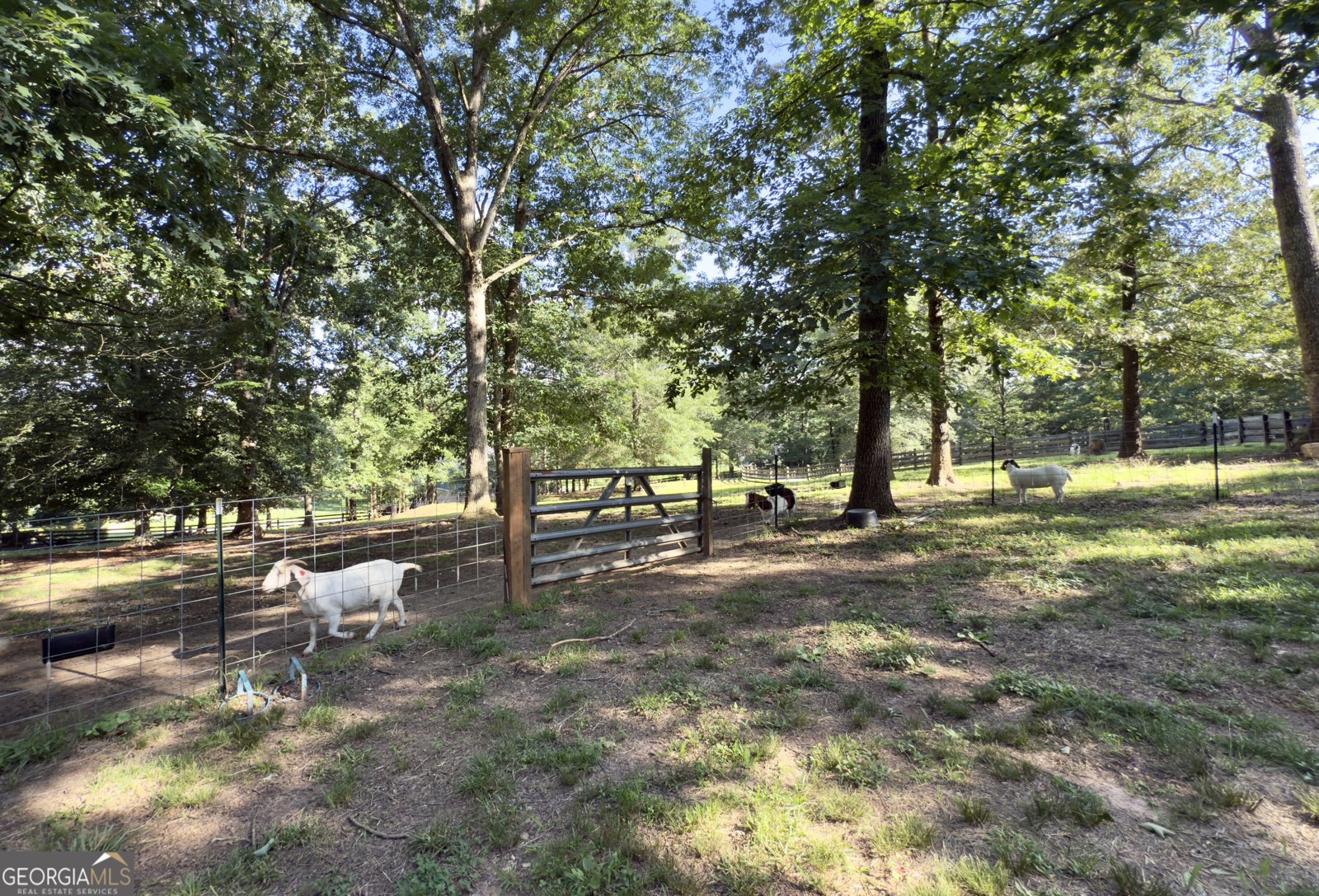 1780 Double Bridge Road Demorest - 73