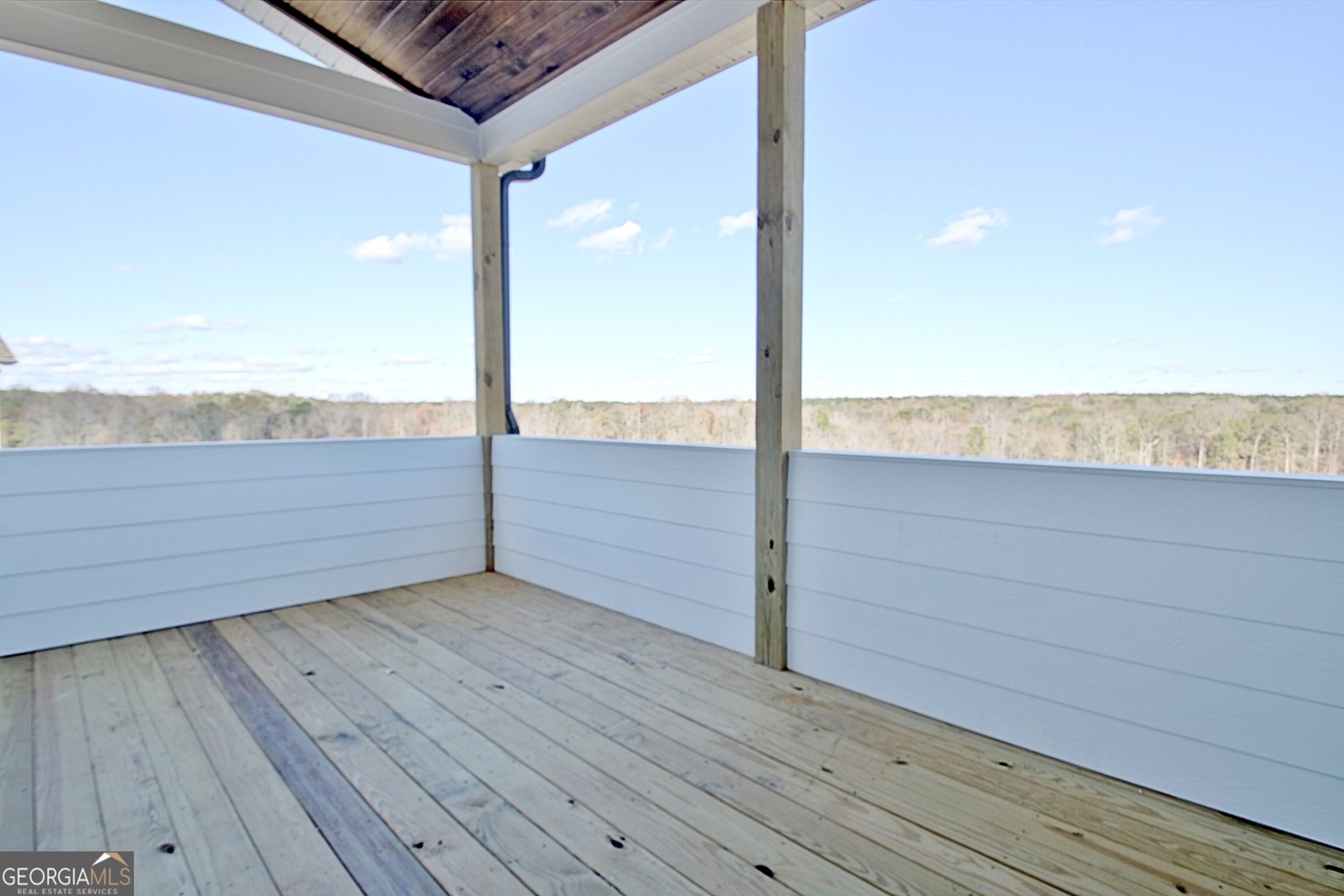 65 Crest Haven Court Senoia - 13