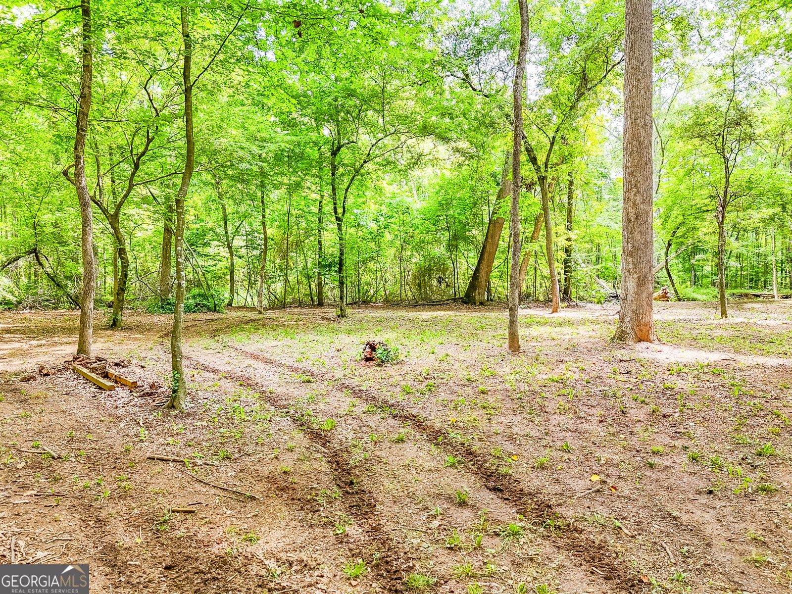 372 Mountain Creek Drive Maysville - 3