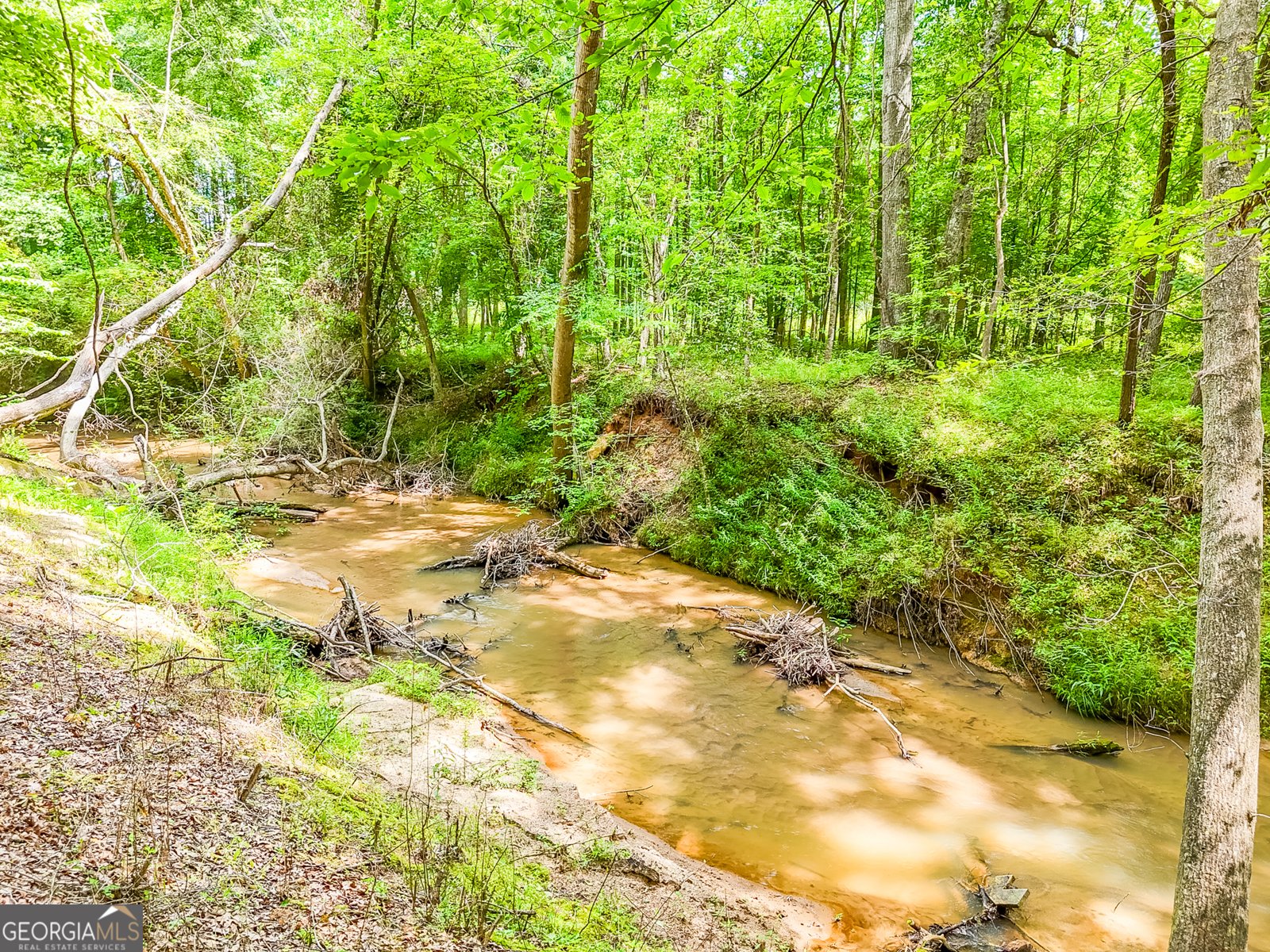 372 Mountain Creek Drive Maysville - 4