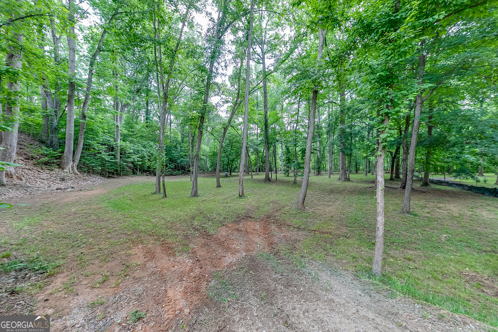372 Mountain Creek Drive Maysville - 44
