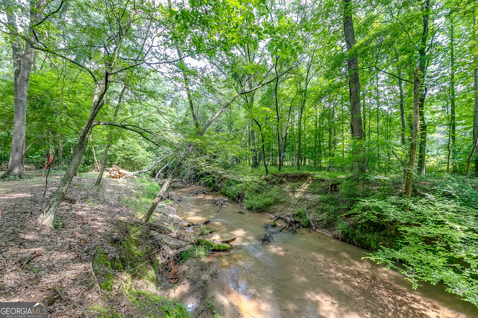 372 Mountain Creek Drive Maysville - 47