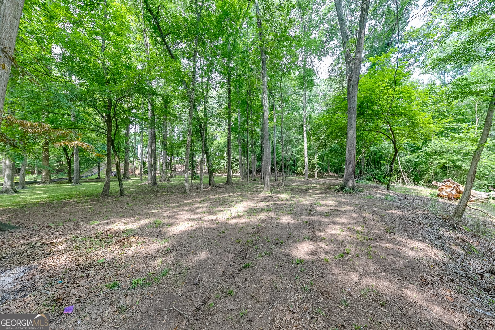 372 Mountain Creek Drive Maysville - 48