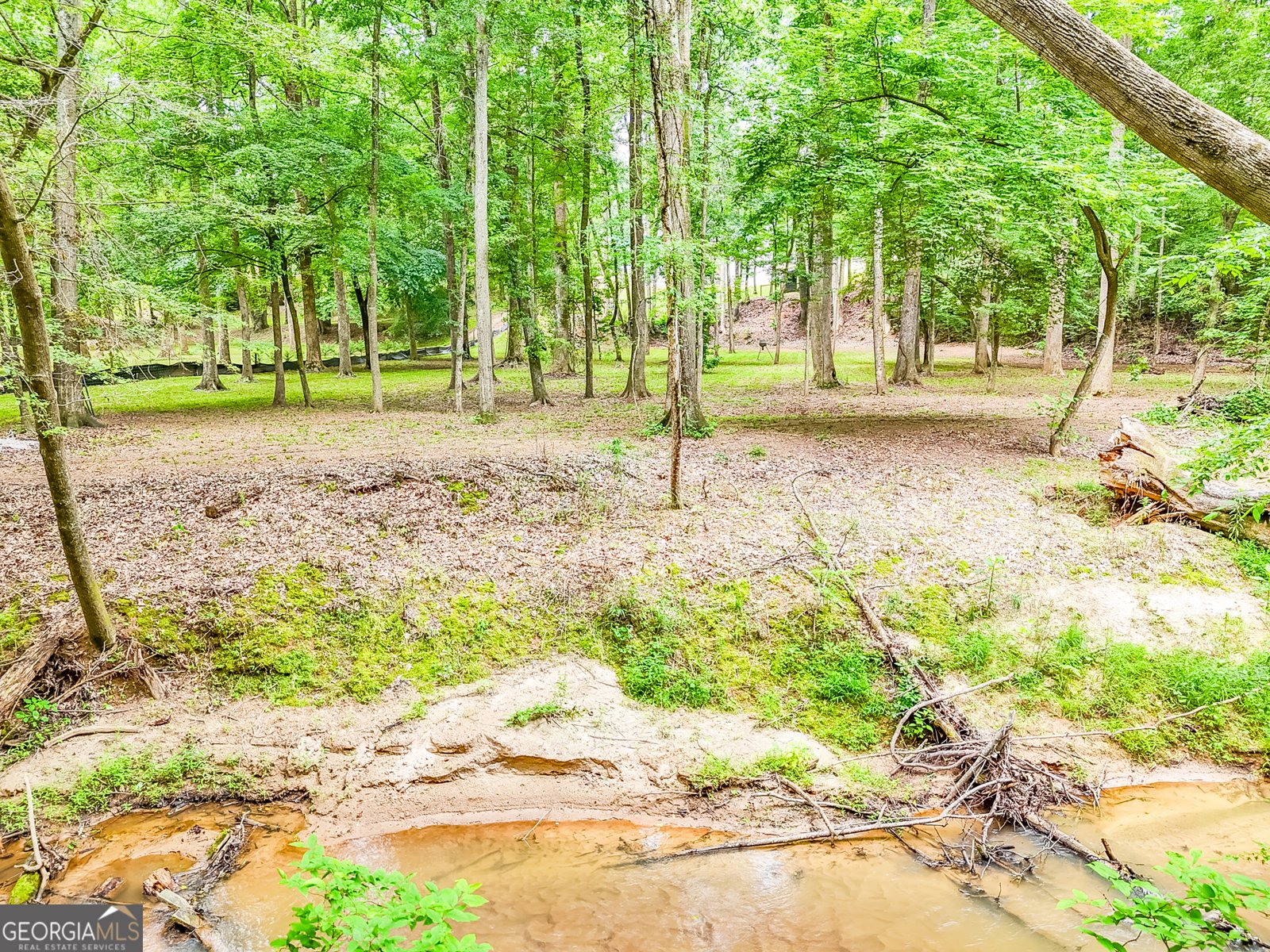 372 Mountain Creek Drive Maysville - 5