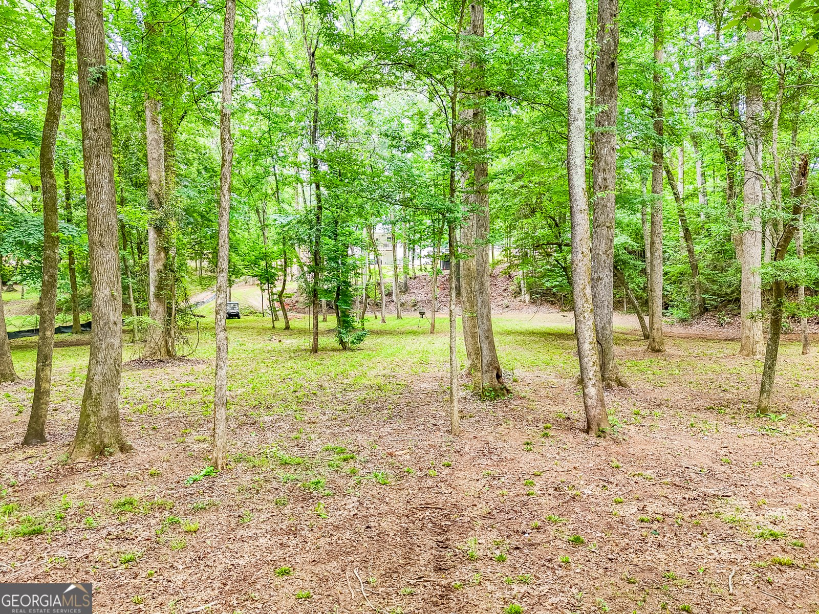 372 Mountain Creek Drive Maysville - 58