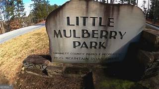 4769 Moon Hollow Court Buford - 40