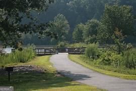 4769 Moon Hollow Court Buford - 52