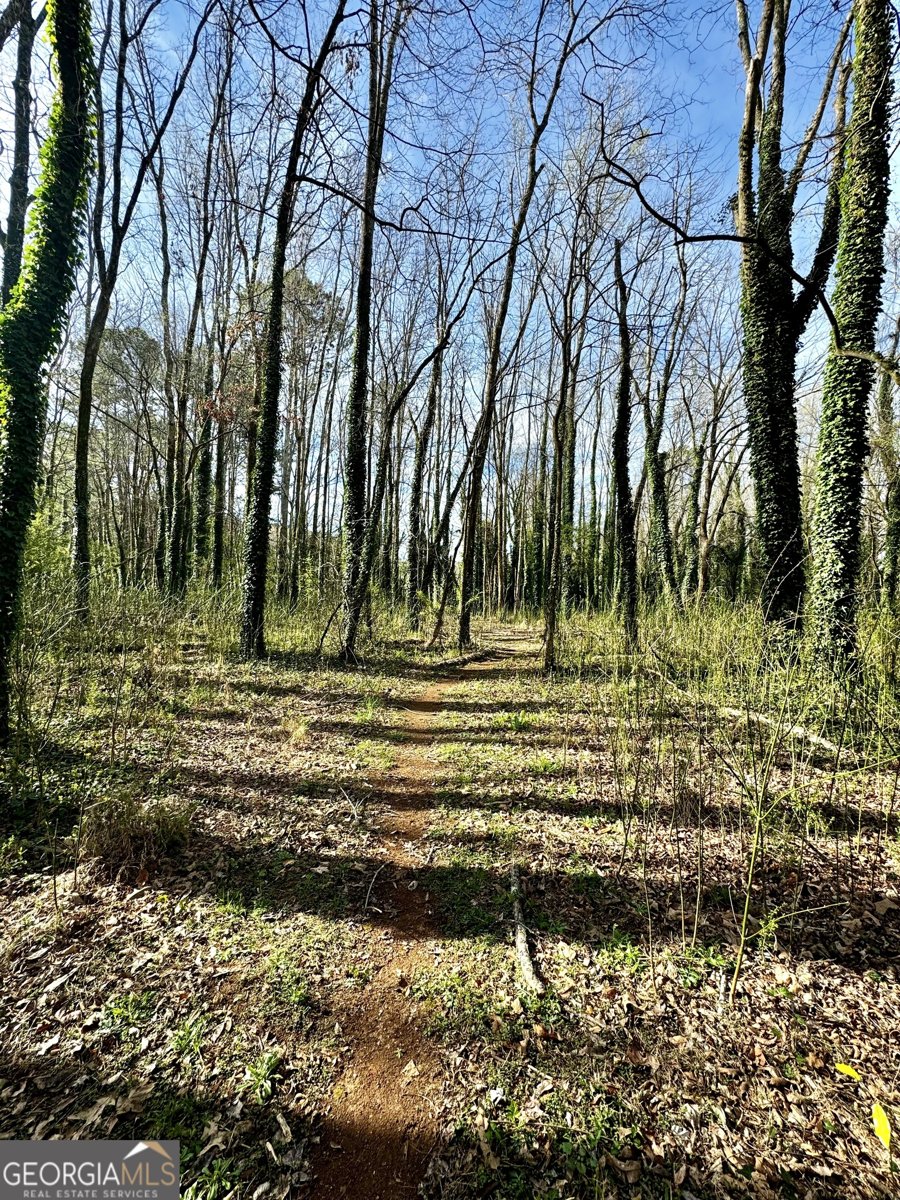 81 Hughes Dairy Road Lindale - 10