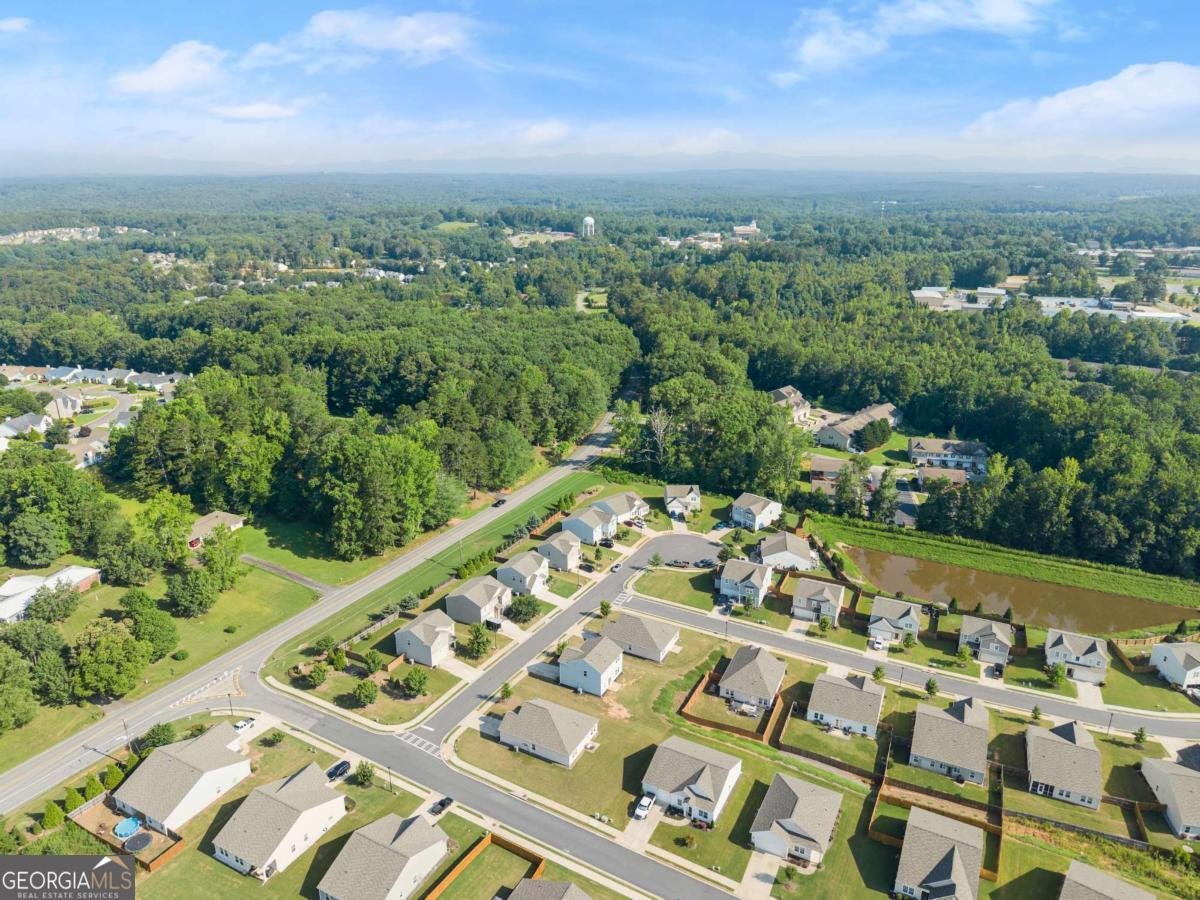 28 Reeves Court Dawsonville - 39