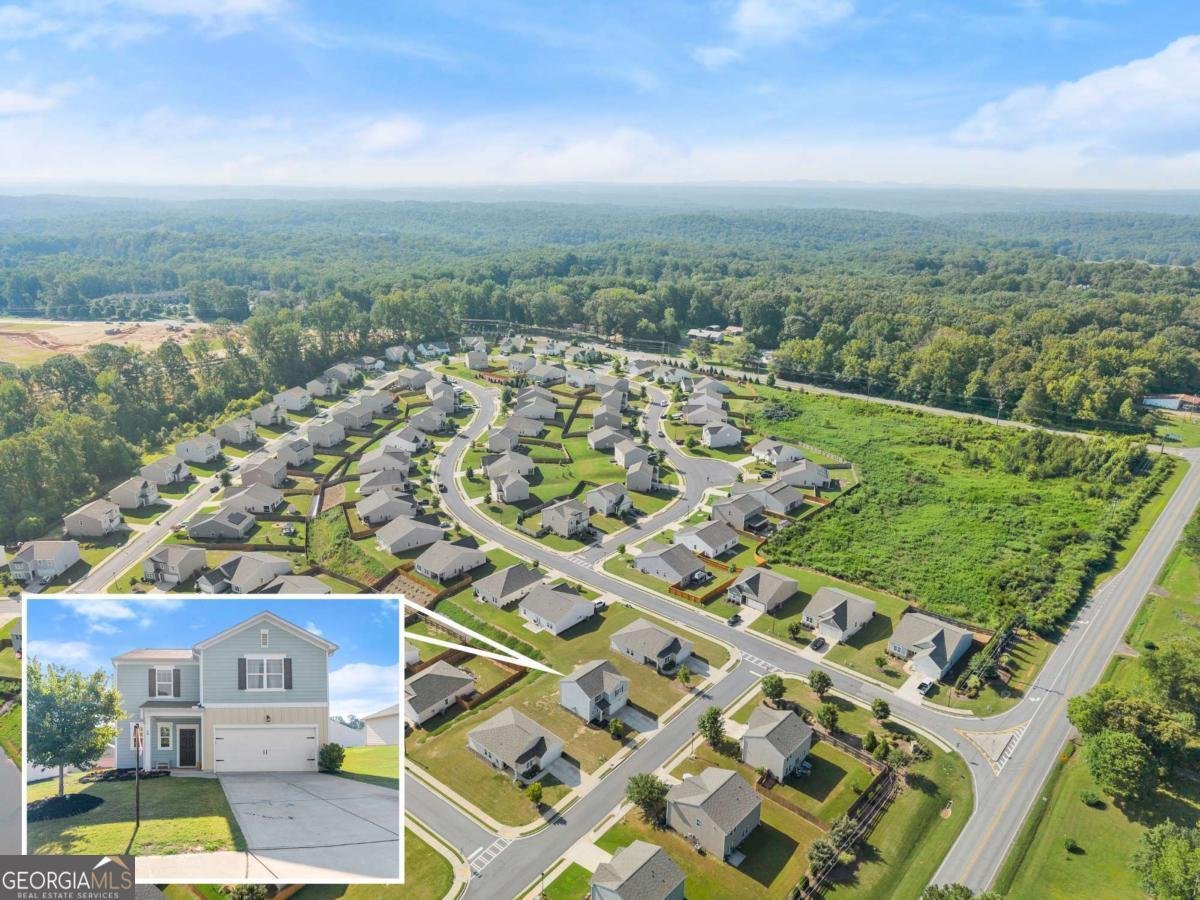 28 Reeves Court Dawsonville - 41