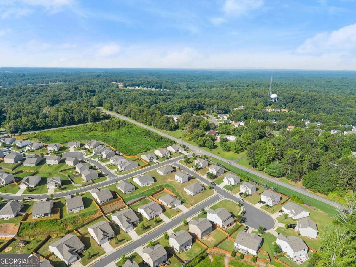 28 Reeves Court Dawsonville - 42
