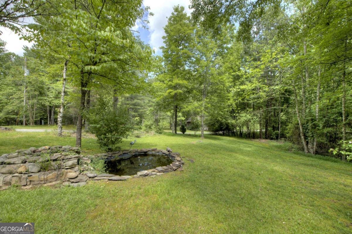 133 Yellowbird Trail Blue Ridge - 36