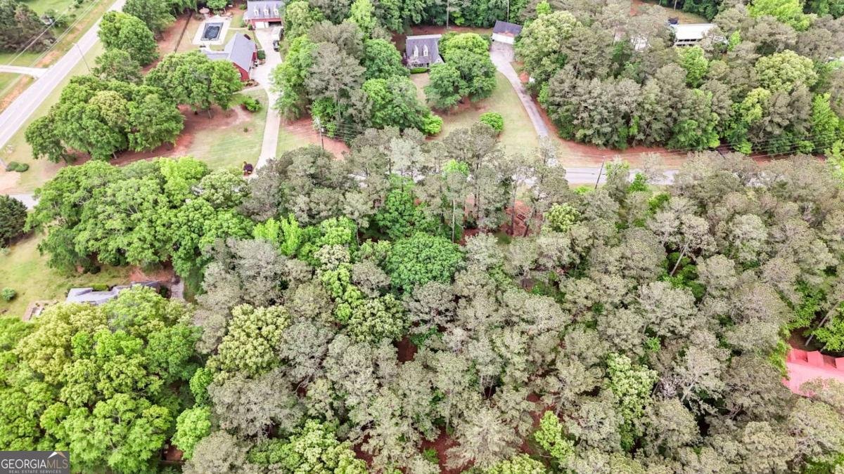 110 The Farm Road Mcdonough - 33