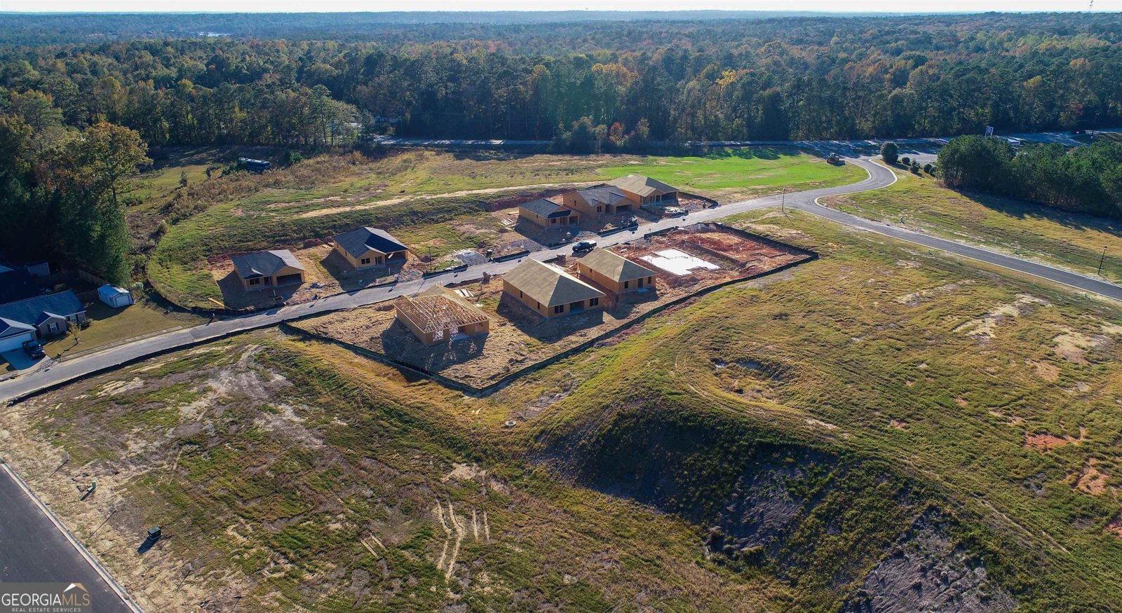 201 Lochwolde Drive Macon - 8