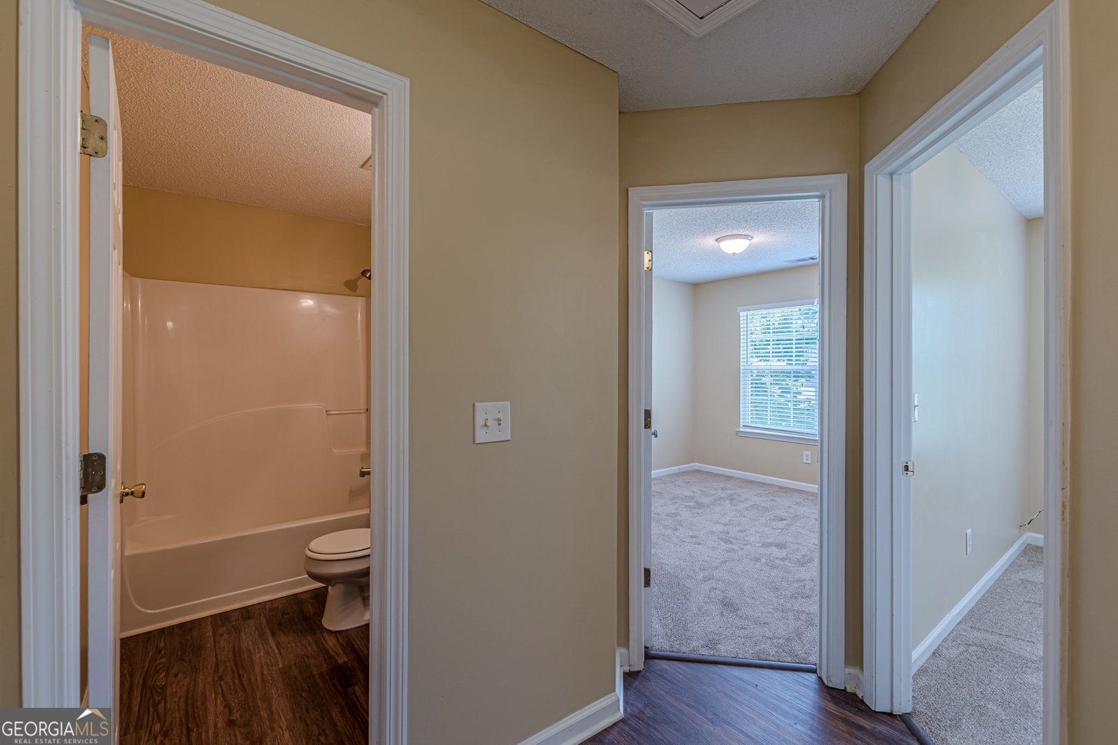 7009 Lunar Blue Way Mcdonough - 28