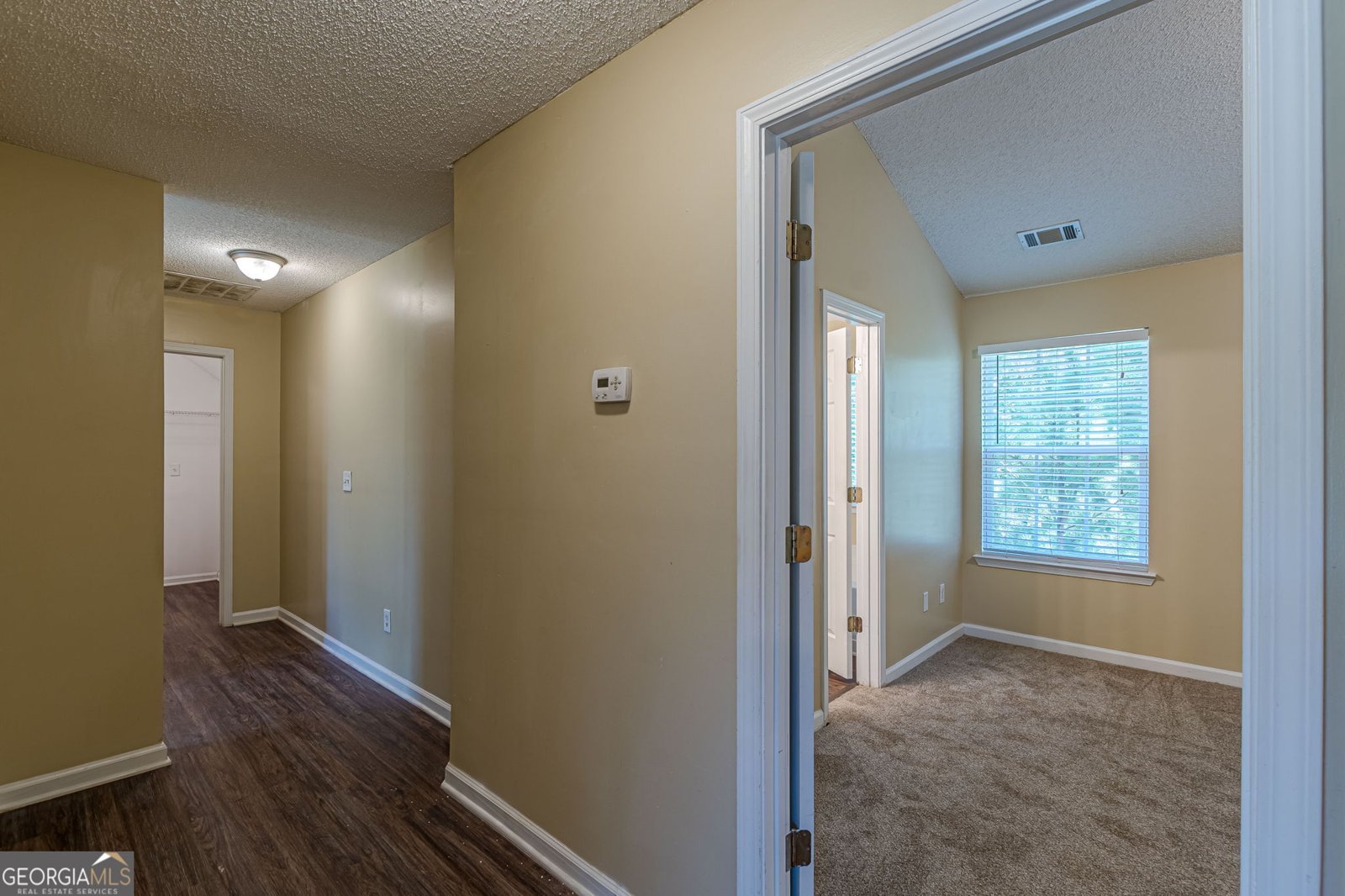 7009 Lunar Blue Way Mcdonough - 29