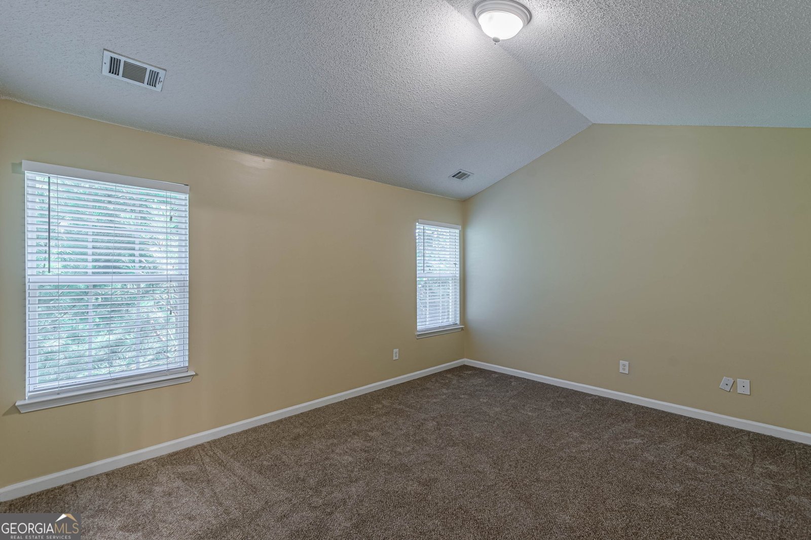7009 Lunar Blue Way Mcdonough - 30