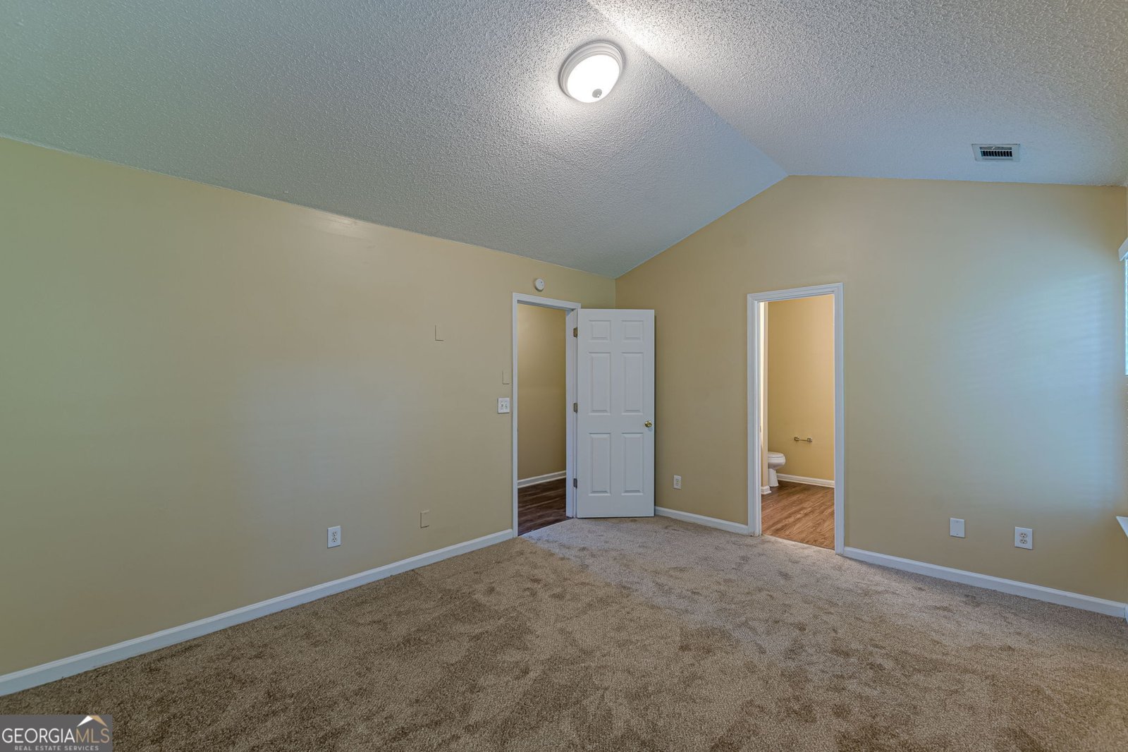 7009 Lunar Blue Way Mcdonough - 32