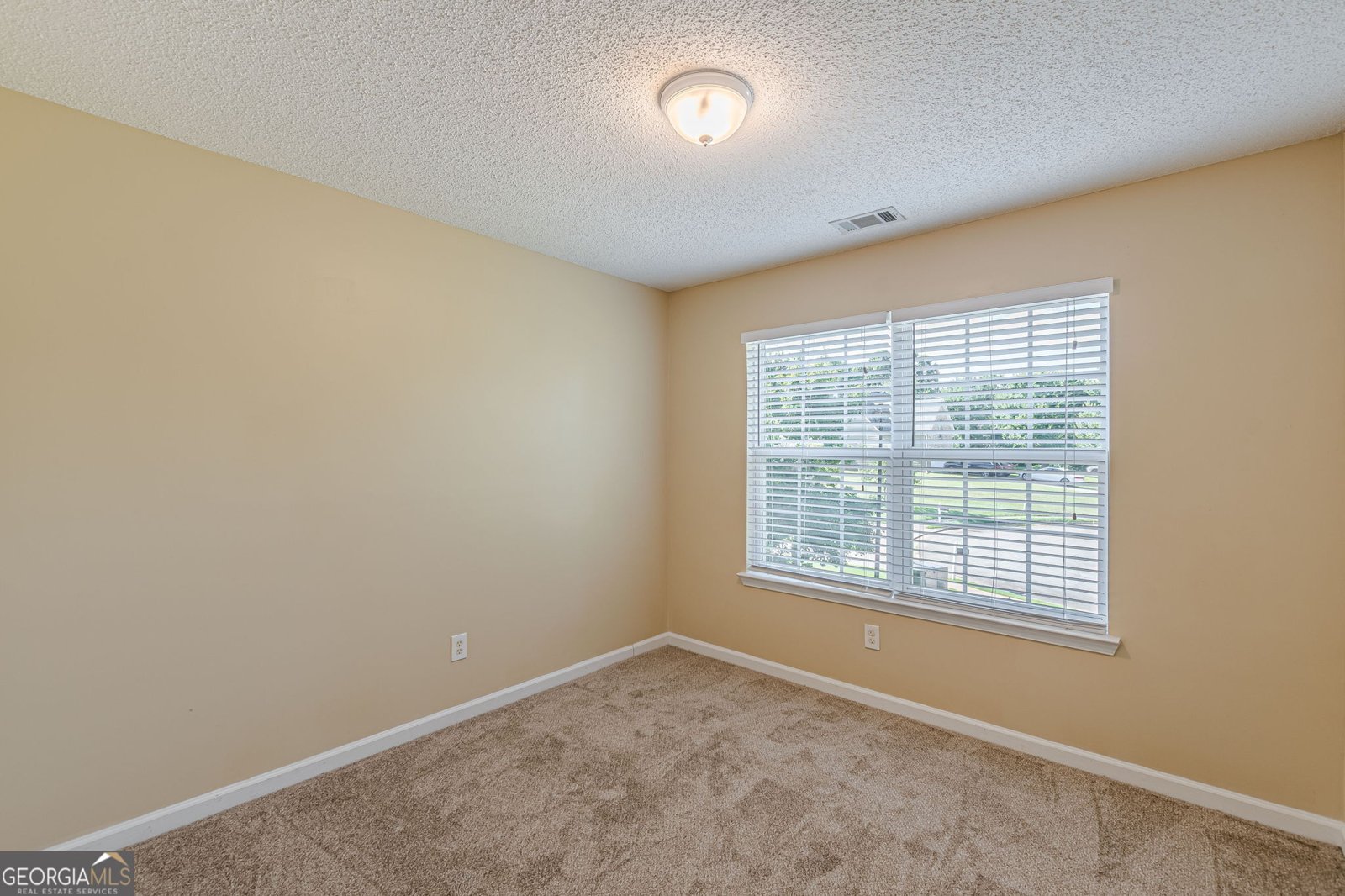 7009 Lunar Blue Way Mcdonough - 38