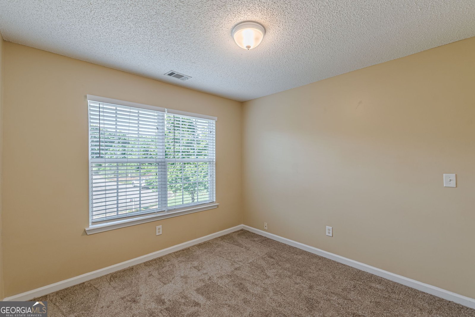 7009 Lunar Blue Way Mcdonough - 39