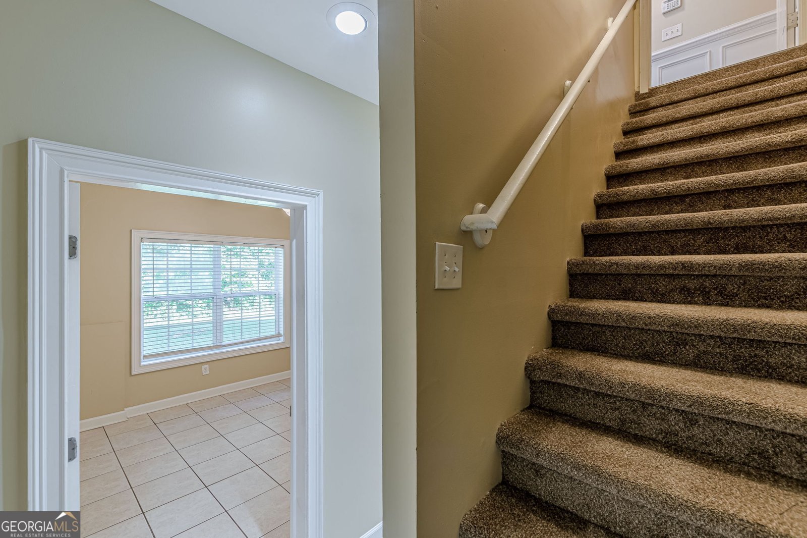 7009 Lunar Blue Way Mcdonough - 49