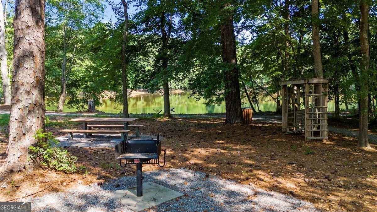 917 Mount McKinley Way Grayson - 20