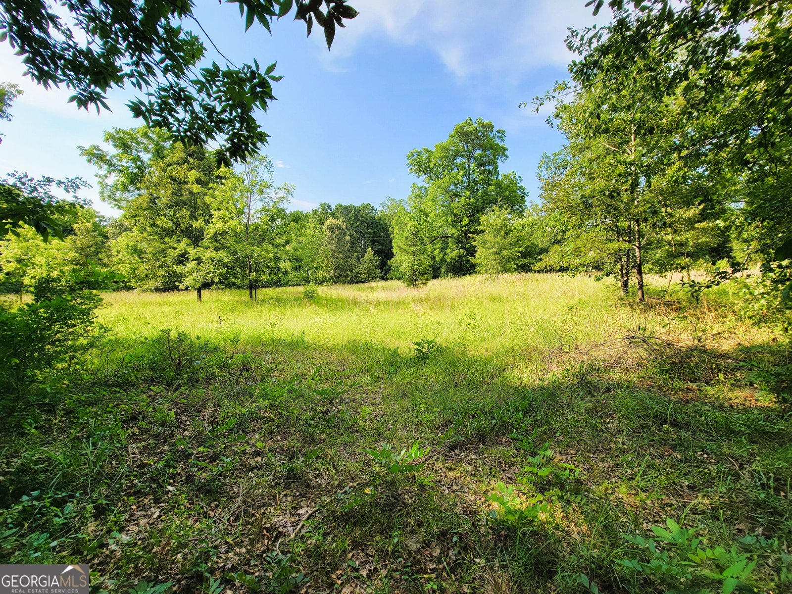 7688 Hamilton Road Pine Mountain - 10