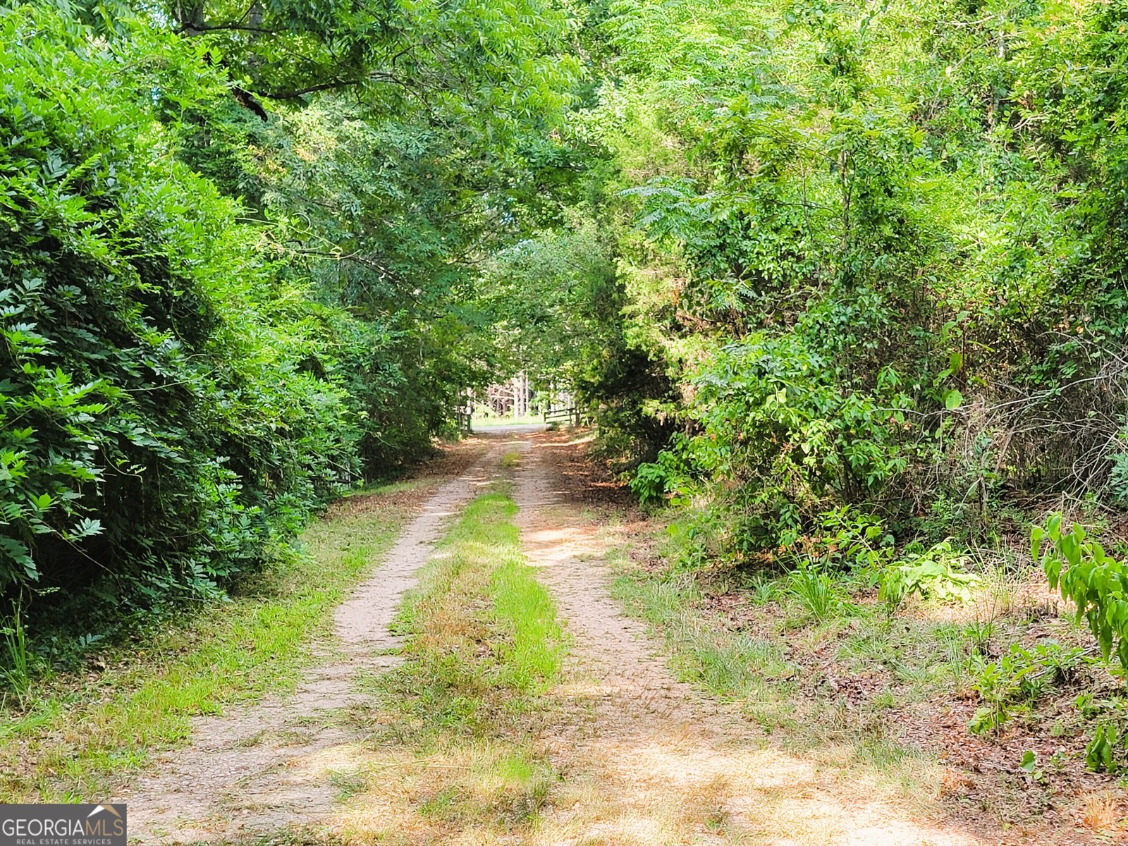 7688 Hamilton Road Pine Mountain - 11