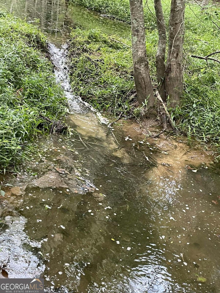 7688 Hamilton Road Pine Mountain - 15