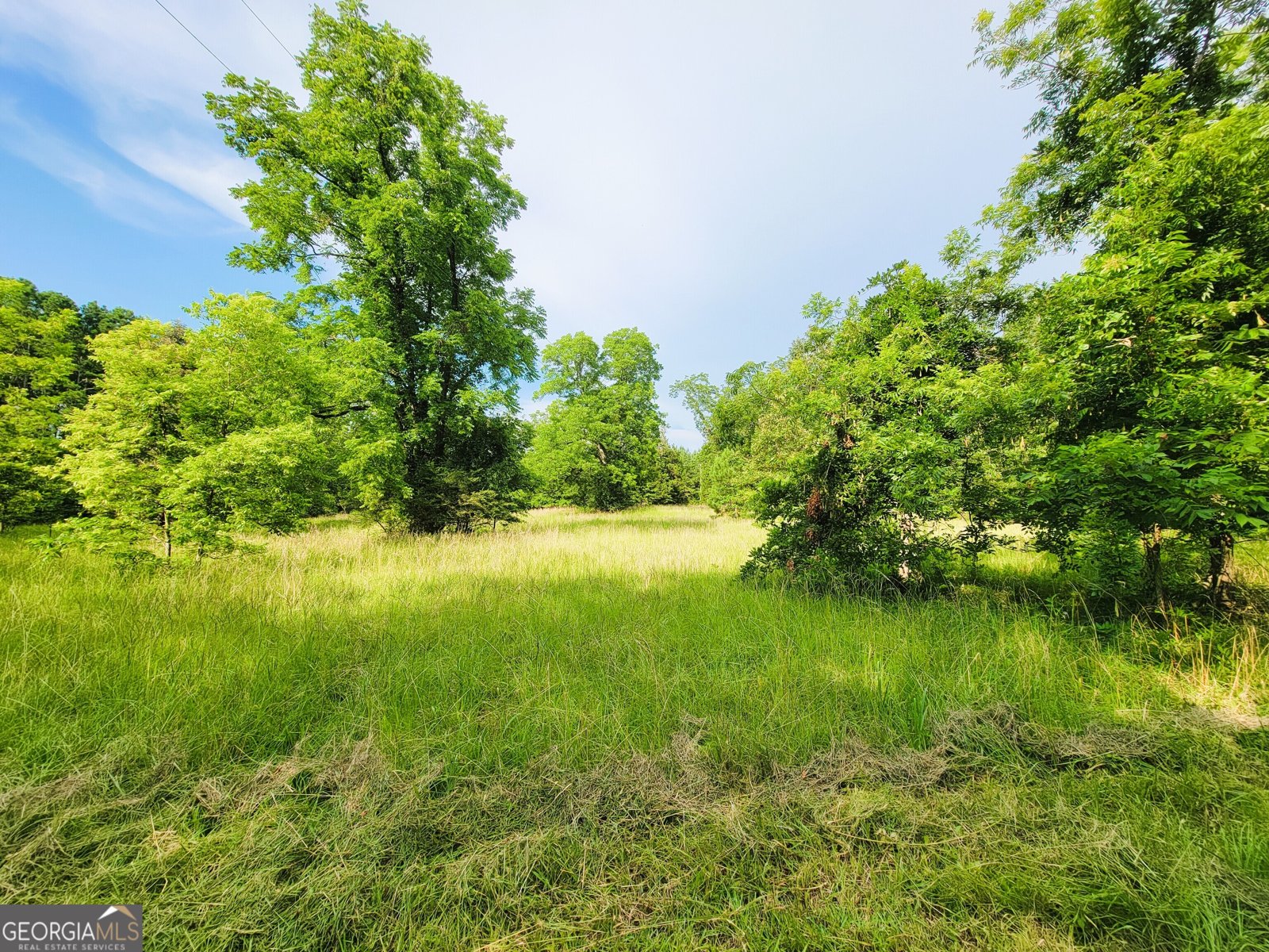 7688 Hamilton Road Pine Mountain - 9