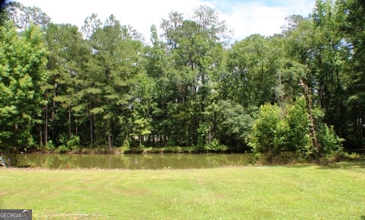 446 GA Highway 338 Dublin - 21