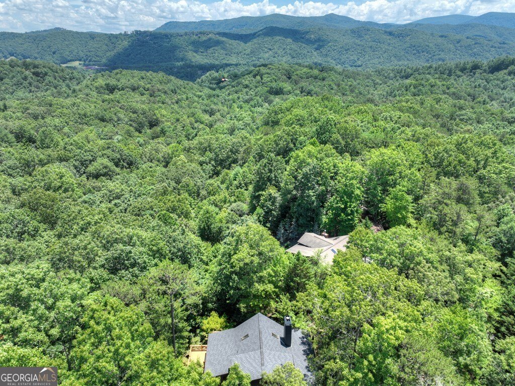290 Left Turn Blue Ridge - 2
