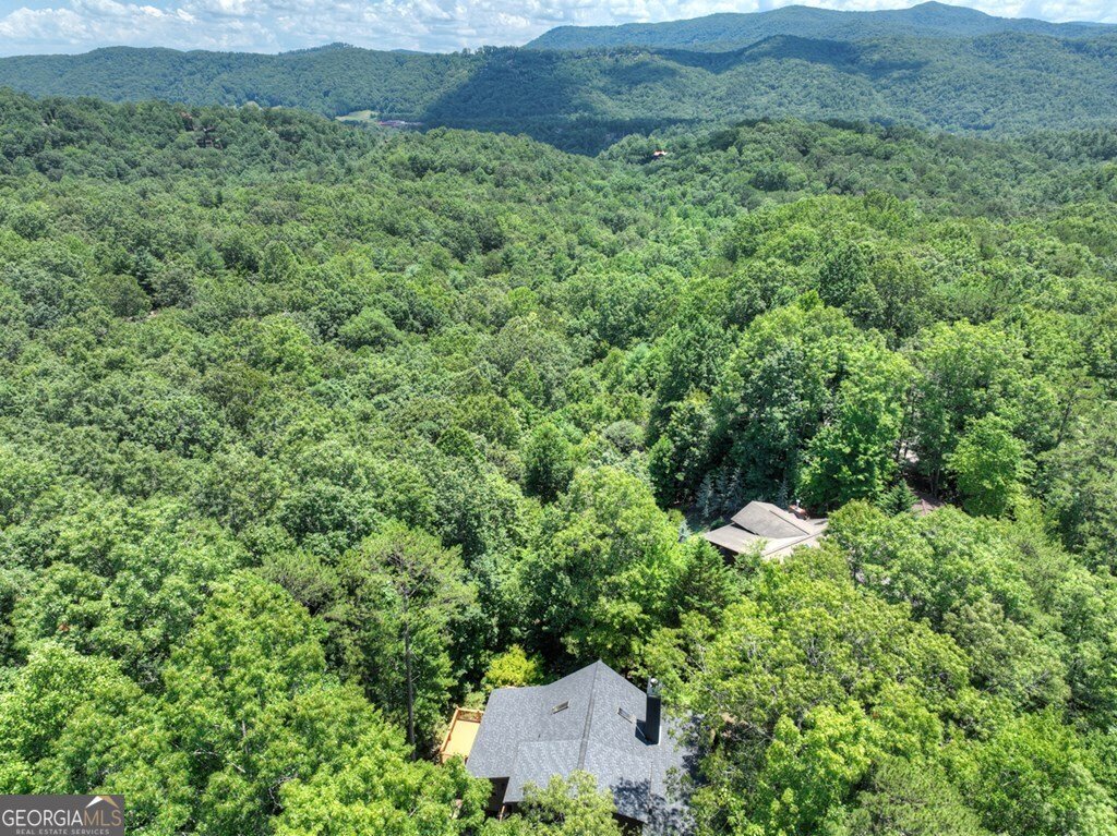 290 Left Turn Blue Ridge - 3