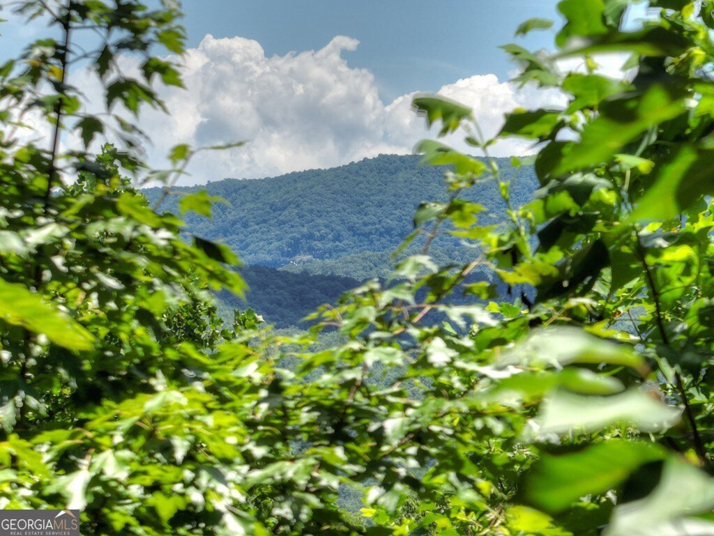 290 Left Turn Blue Ridge - 8