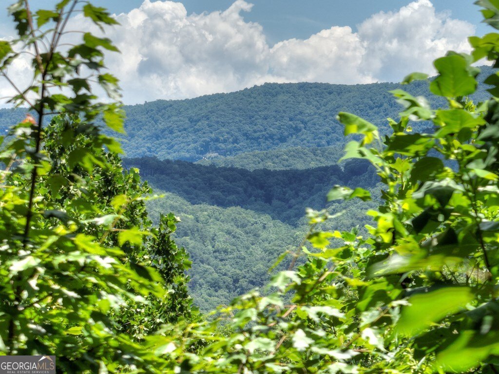 290 Left Turn Blue Ridge - 9