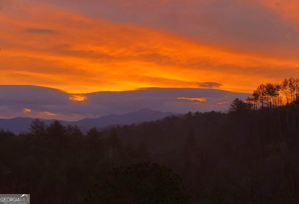 84 Vella Ridge Lane Hayesville - 3