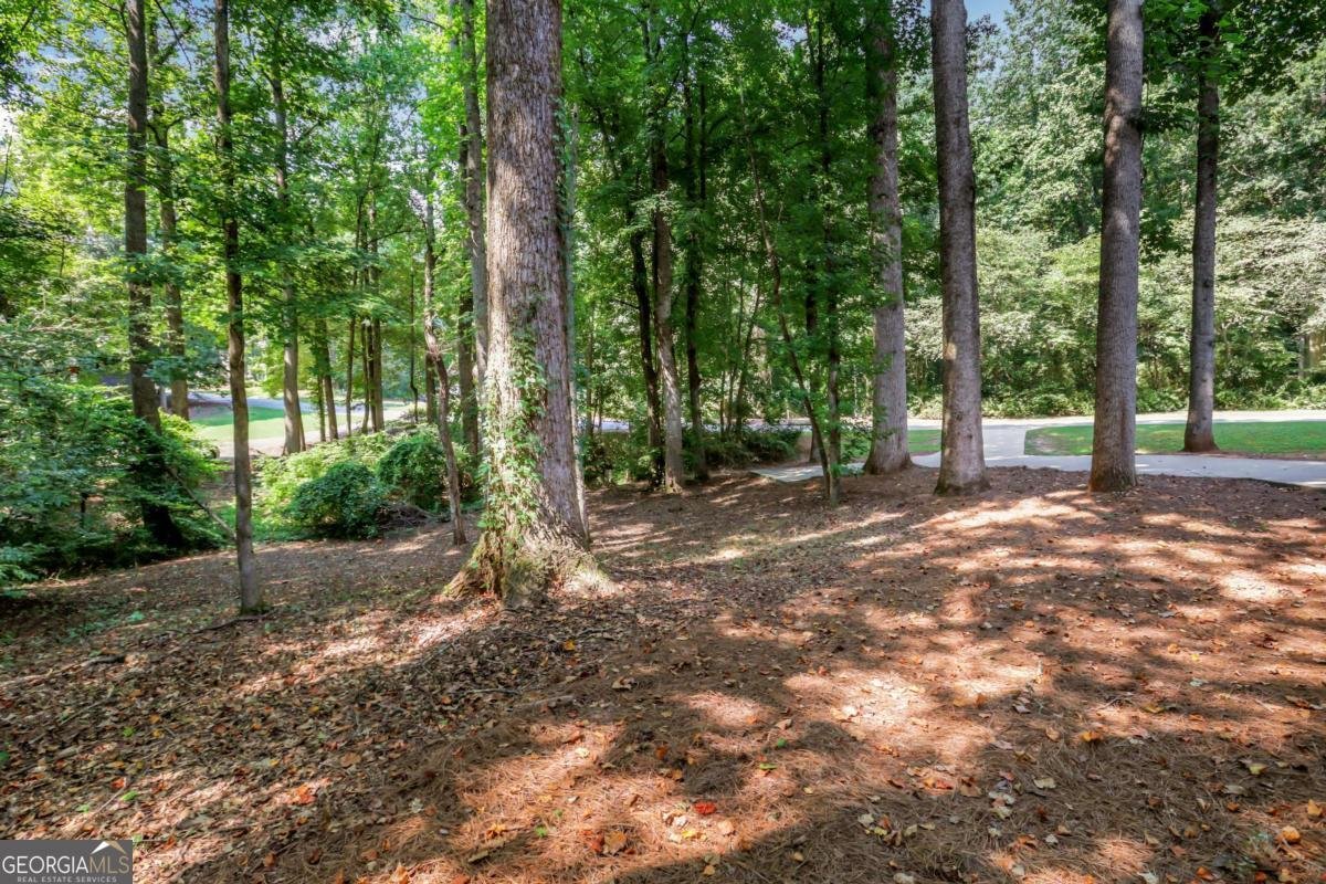 6810 Black Fox Lane Cumming - 50