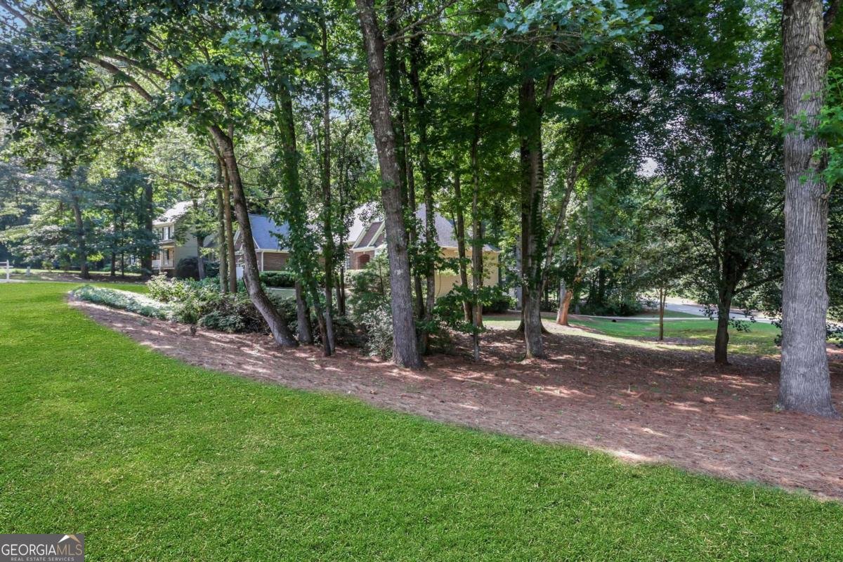 6810 Black Fox Lane Cumming - 51