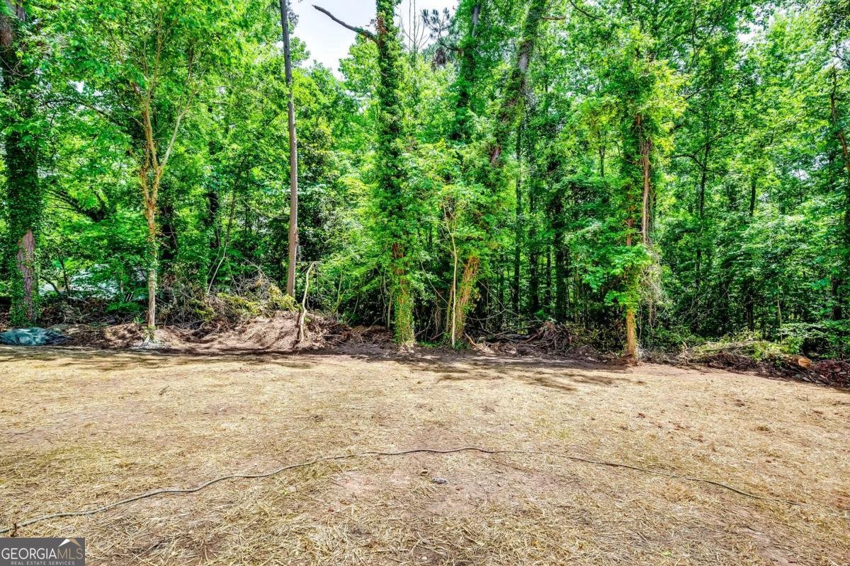 3244 Mount Olive Road Atlanta - 14