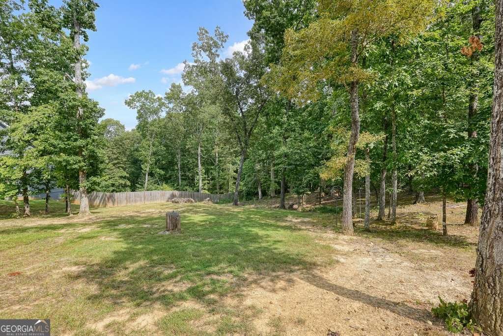 25 Shoreline Drive Cartersville - 10