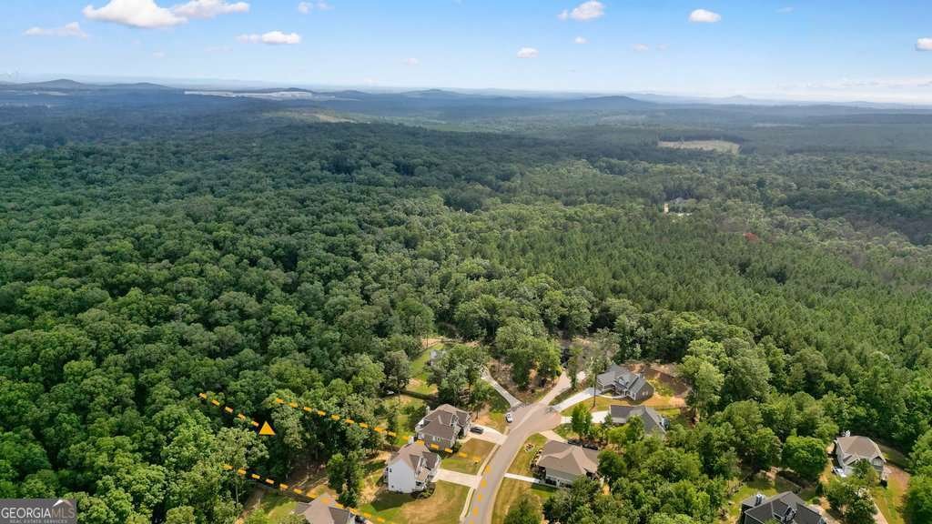 25 Shoreline Drive Cartersville - 24